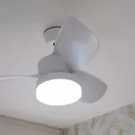 Appartement Tinte Boutique Cordoue